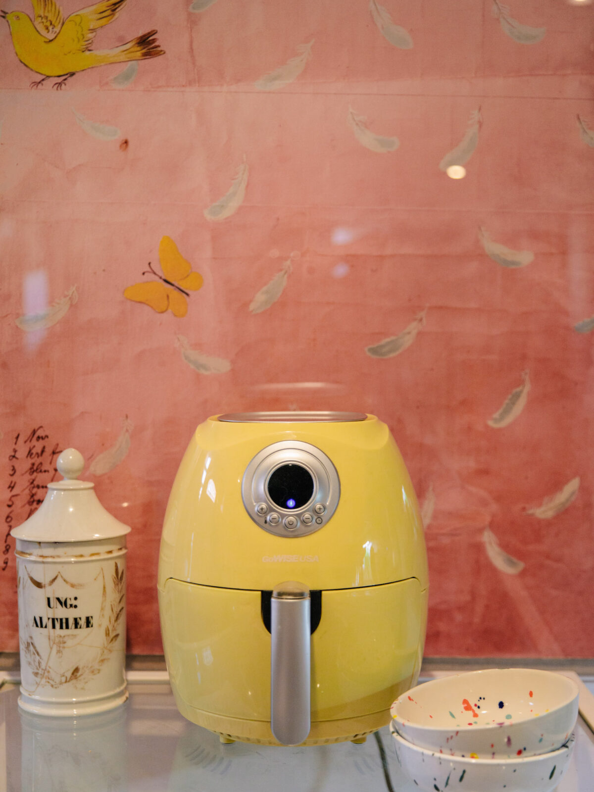 GoWISE USA 2.75 Quart Air Fryer Review