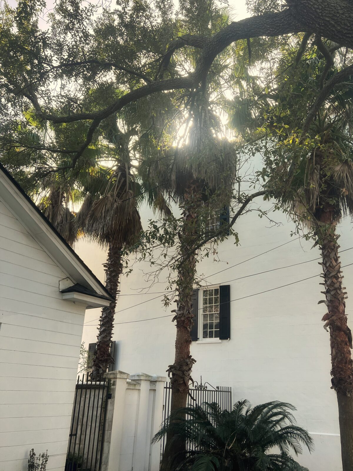 Charleston house Saying Hi