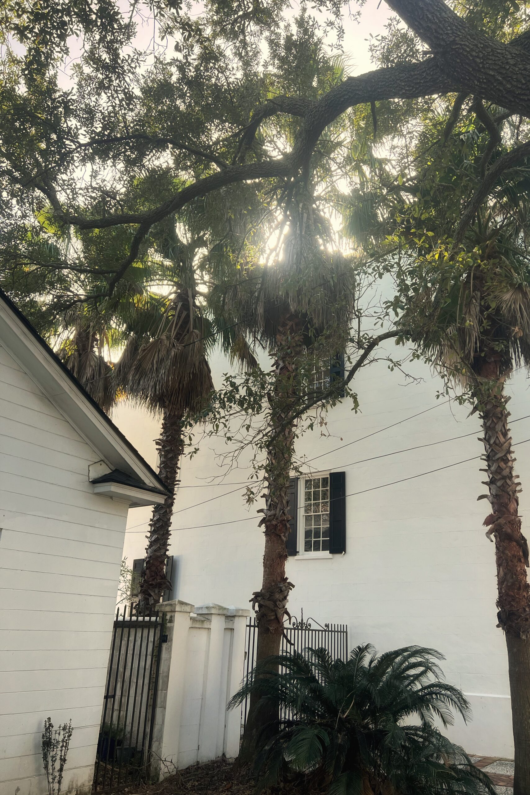 Charleston house Charleston house Saying Hi | Your Favorite Blog Posts of 2022