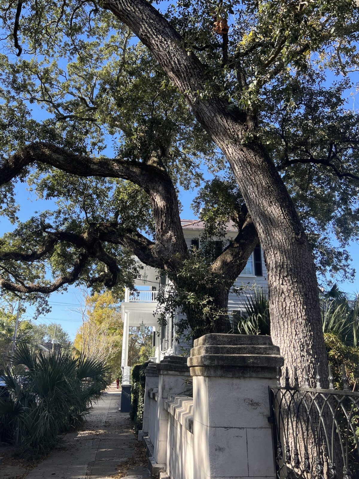 Making an Enemy out of Envy