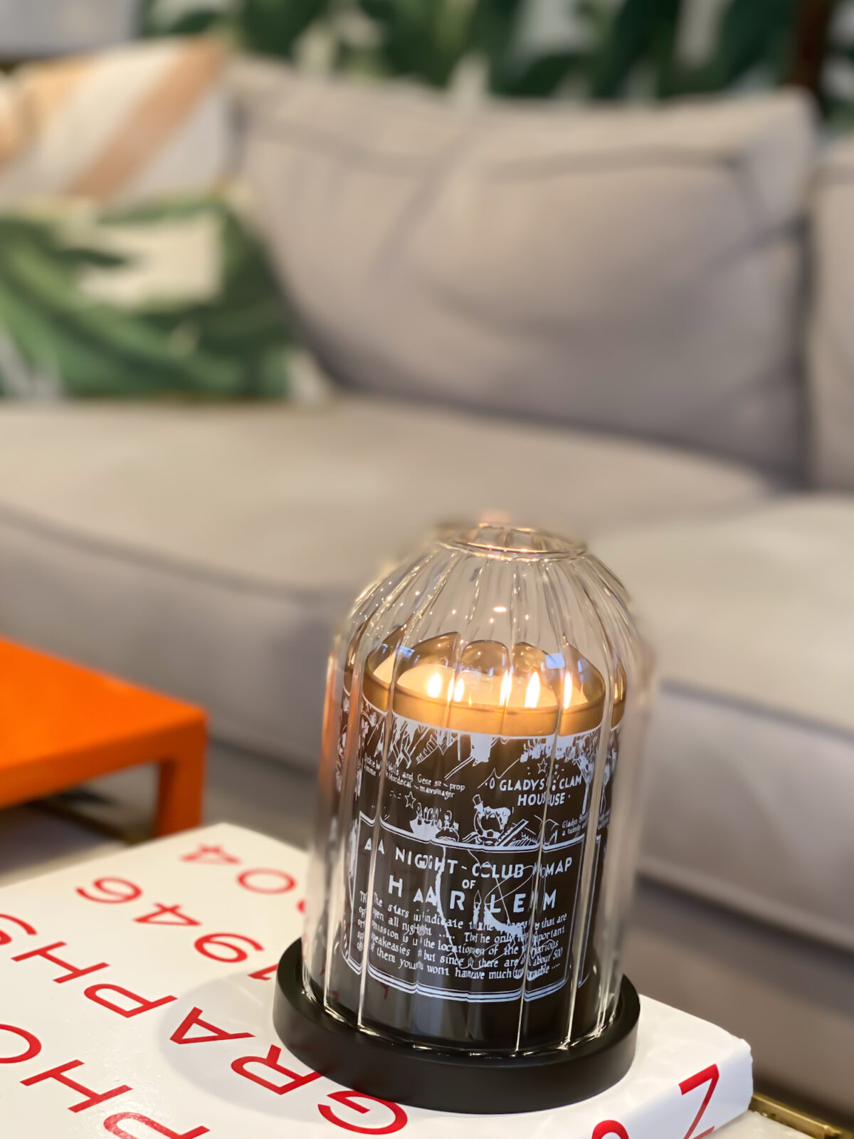 A Favorite Recent Purchase