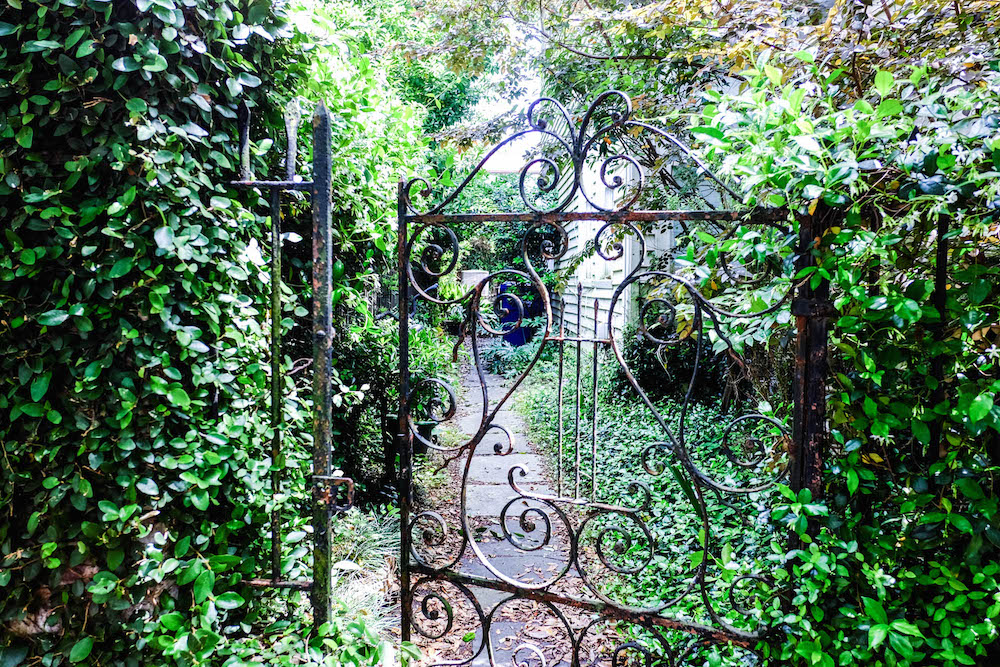 Charleston recommendations