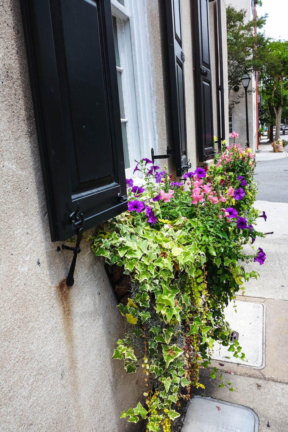 Where to drink in Charleston