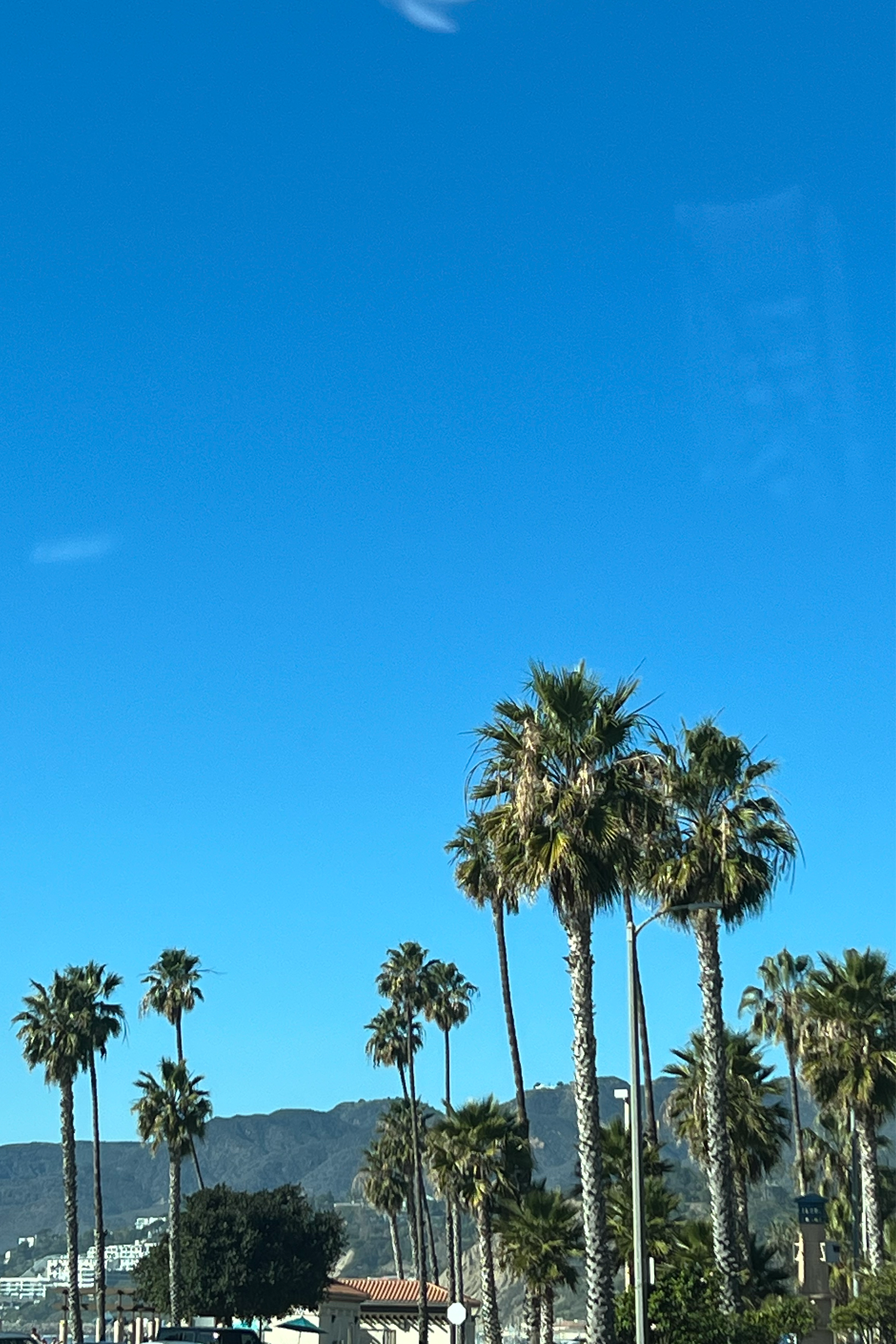 Bits & Pieces from Break Bits & Pieces from Break