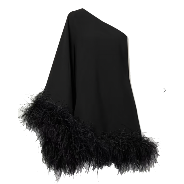 Taller Mamor Feather Dress